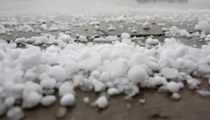 388813 5025478 updates