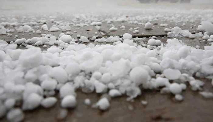 388813 5025478 updates