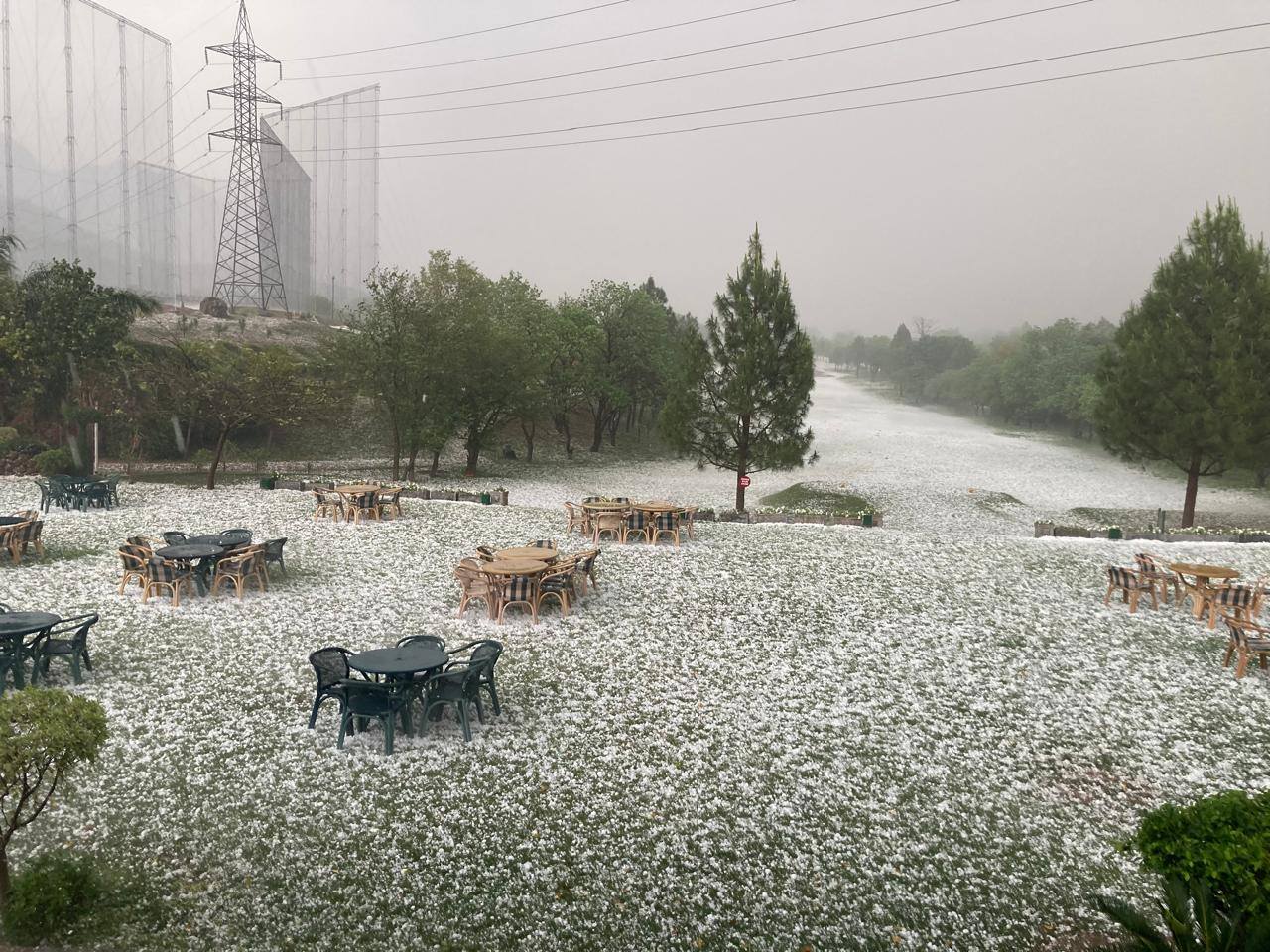 514421163 24056339867328414 6233900520228523846 n