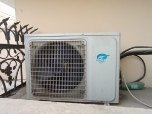 whatsapp image 2025 11 25 at 11.21.06 am (1)