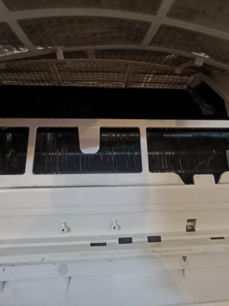 whatsapp image 2025 11 25 at 11.21.06 am (2)