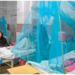 dengue 21759647213 0 600x450