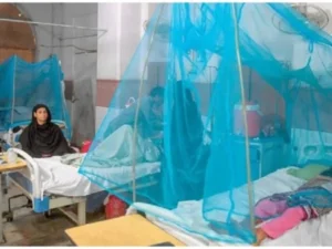 dengue 21759647213 0 600x450