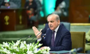 shehbaz sharif cabinet review meeting