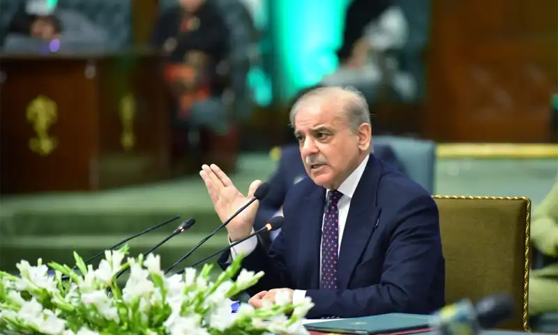 shehbaz sharif cabinet review meeting