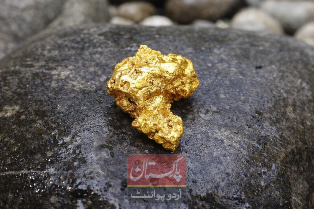 chatgpt image dec 20, 2025, 12 05 56 pm