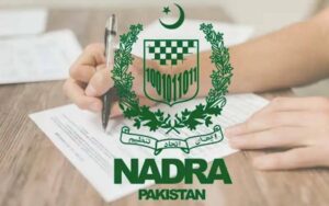 پنجاب: پیدائش، اموات، شادی اور طلاق کے آن لائن اندراج کیلئے ایپ لانچ کردی گئی