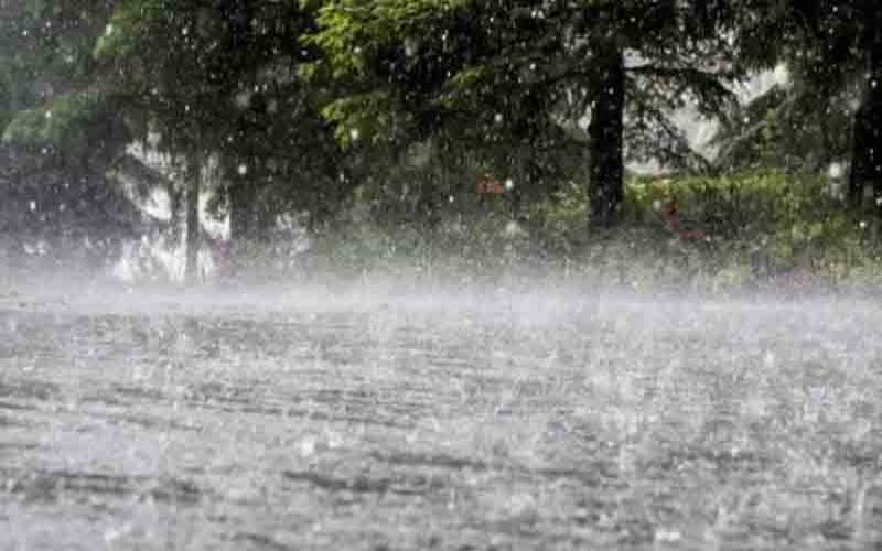 انڈر 19 ایشیا کپ، سمیر منہاس اور احمد حسین کی شاندار سنچریاں، پاکستان نے ملائیشیا کیخلاف رنز کا پہاڑ کھڑا کر دیا news 1765526934 6741 (1)