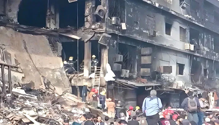 1549294 6245226 bodies updates