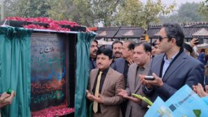 گوجرانوالہ میں جدید اسٹریٹ لائٹس منصوبے کا افتتاح