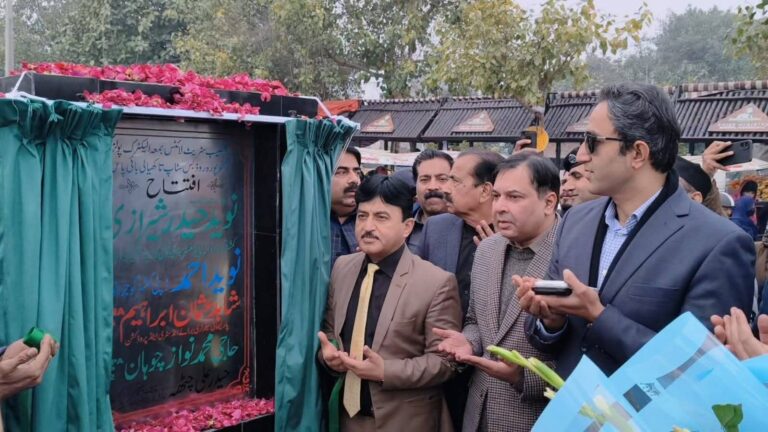 گوجرانوالہ میں جدید اسٹریٹ لائٹس منصوبے کا افتتاح