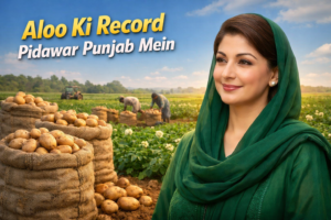 پنجاب اس سال 12 ملین میٹرک ٹن آلو کی ریکارڈ پیداوار کے لیے تیار، وزیراعلیٰ مریم نواز