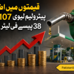 پیٹرولیم لیوی میں بڑا اضافہ