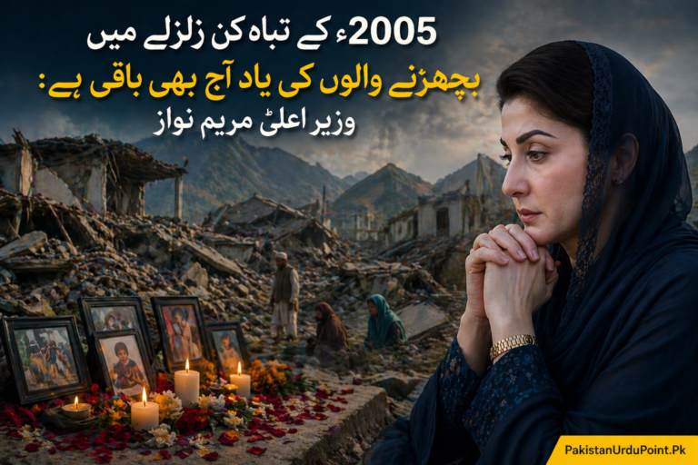 2005 کے تباہ کن زلزلے کی یادیں آج بھی تازہ