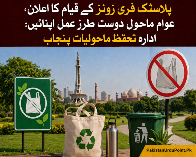 پلاسٹک فری زونز کے قیام کا اعلان، عوام سے ماحول دوست طرزِ عمل اپنانے کی اپیل