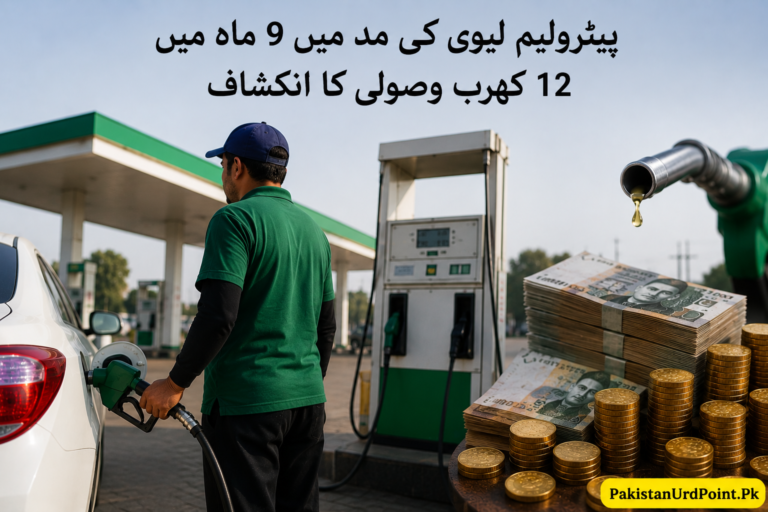 پیٹرولیم لیوی کی مد میں 9 ماہ میں 12 کھرب روپے وصولی کا انکشاف