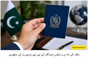 بڑے ٹیکس دہندگان کے لیے بلیو پاسپورٹ کی منظوری
