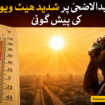 عیدالاضحیٰ پر شدید ہیٹ ویو کی پیشگوئی