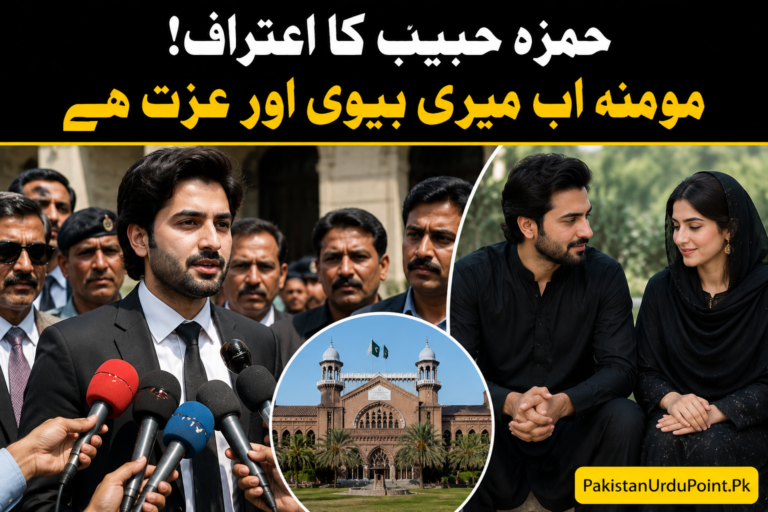 حمزہ حبیب نے مومنہ سے نکاح کی تصدیق کر دی