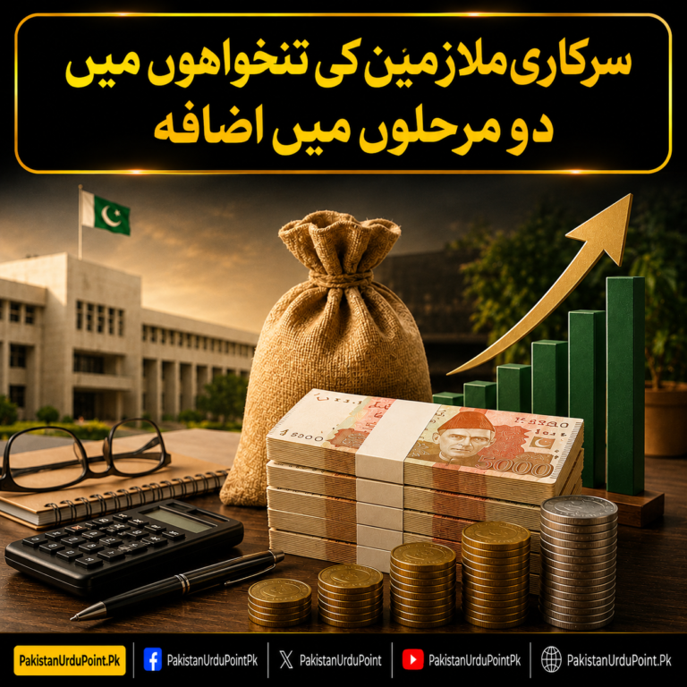 سرکاری ملازمین کی تنخواہوں میں دو مرحلوں میں اضافہ