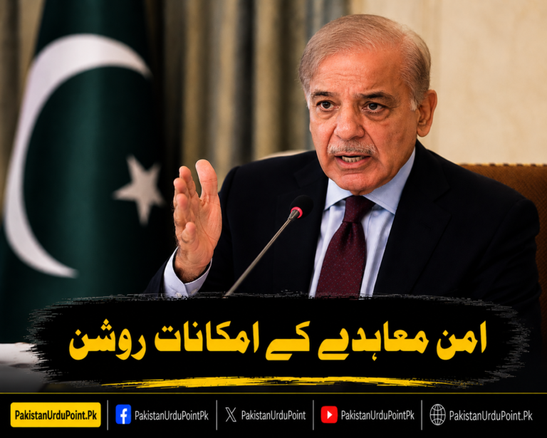 امن معاہدے کے امکانات روشن، 24 گھنٹوں میں پیشرفت متوقع: شہباز شریف