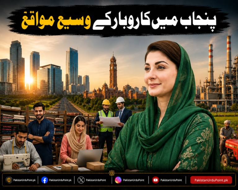 پنجاب میں کاروبار کے وسیع مواقع