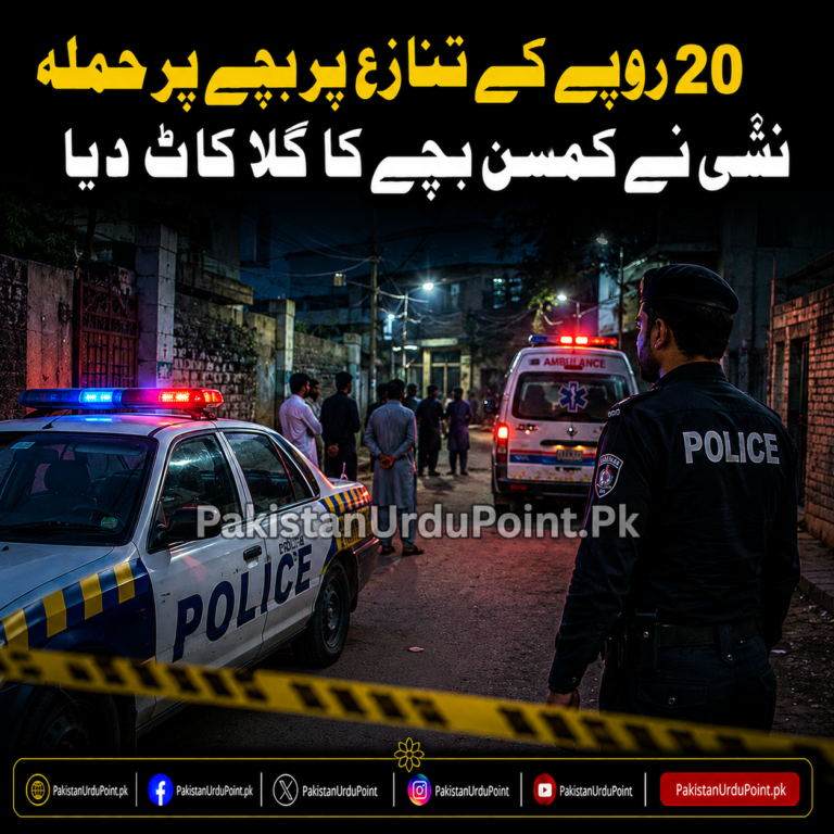 نشئی نے 20 روپے نہ ملنے پر بچے کا گلا کاٹ دیا