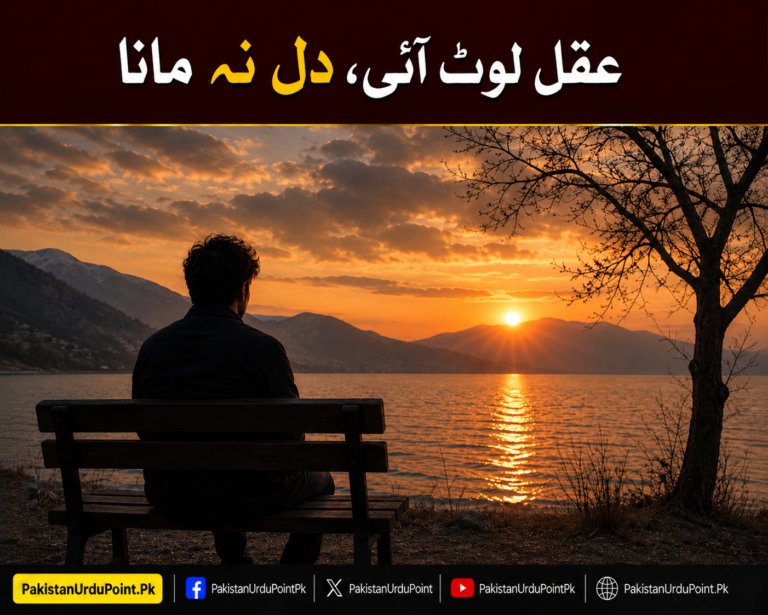 عقل لوٹ آئی، دل نہ مانا