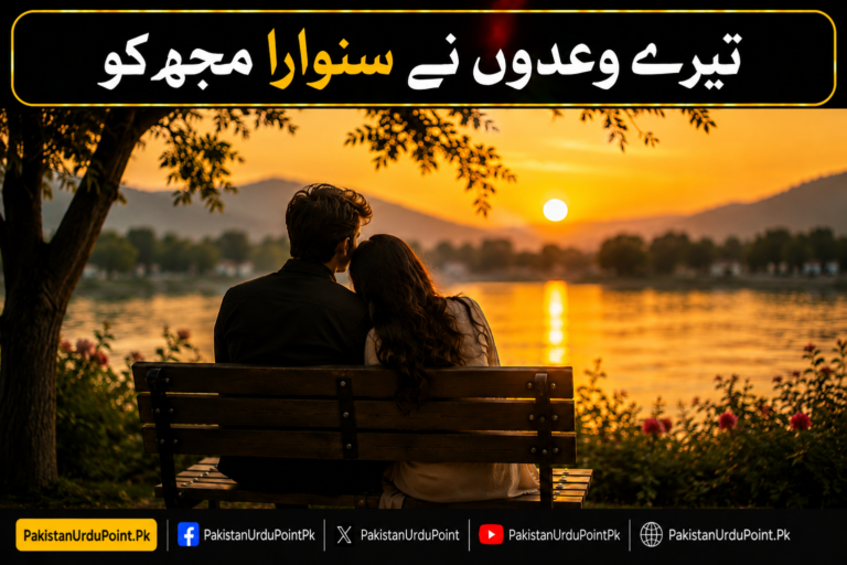 تیرے وعدوں نے سنوارا مجھ کو