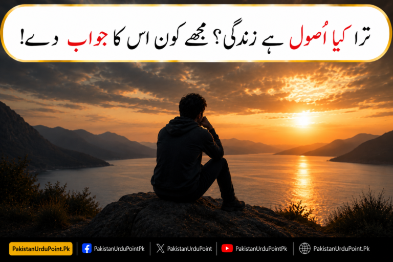 ترا کیا اُصول ہے زندگی؟ مجھے کون اس کا جواب دے!