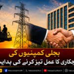 بجلی کمپنیوں کی نجکاری کا عمل تیز