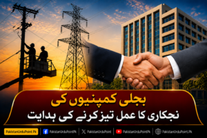 بجلی کمپنیوں کی نجکاری کا عمل تیز