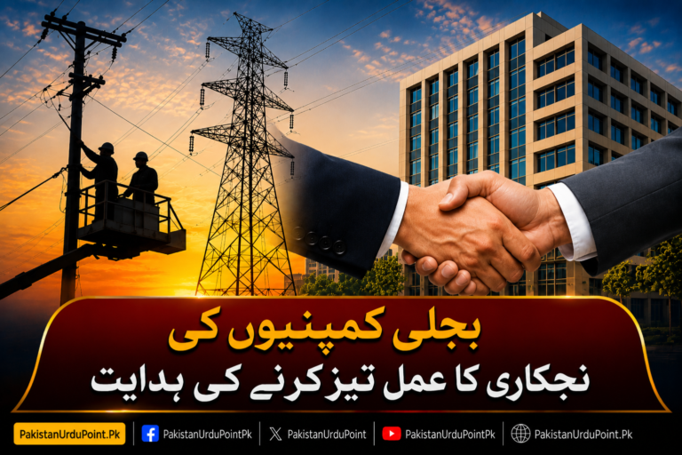 بجلی کمپنیوں کی نجکاری کا عمل تیز