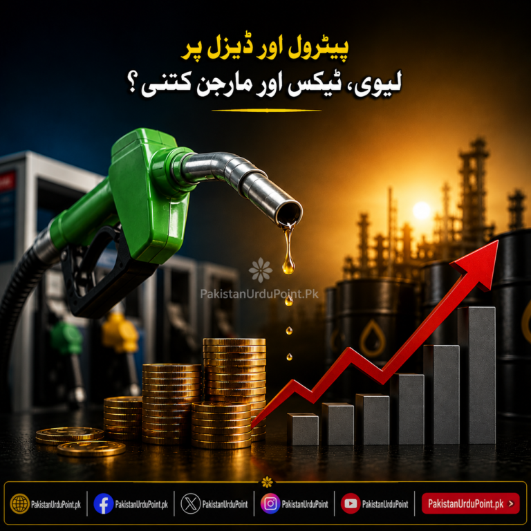 پیٹرول اور ڈیزل پر حکومت کتنی لیوی، ٹیکس اور مارجن وصول کر رہی ہے؟