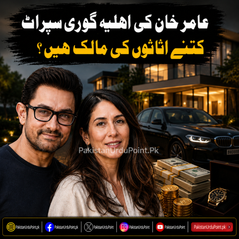 عامر خان کی اہلیہ گوری سپراٹ کتنے اثاثوں کی مالک ہیں؟