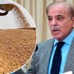 2639831 shehbazsharifwheat 1715586314 600x450
