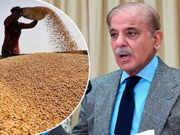 2639831 shehbazsharifwheat 1715586314 600x450